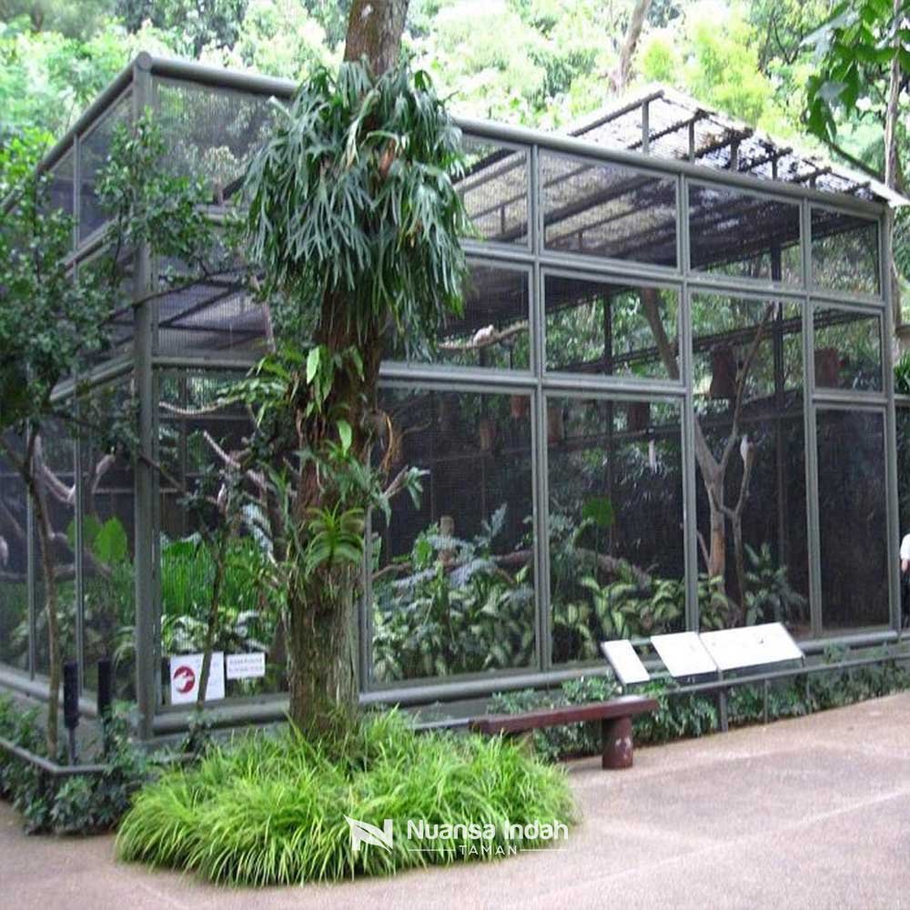 Jasa Pembuatan Aviary